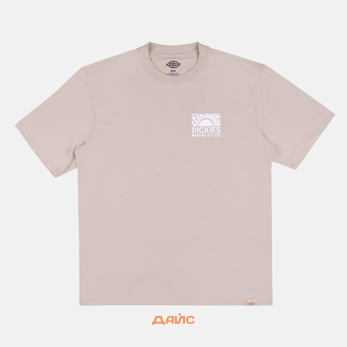 Футболка мужская Dickies Saltville Tee артикул:DK0A4YR9SS01 - купить в магазине Дайс