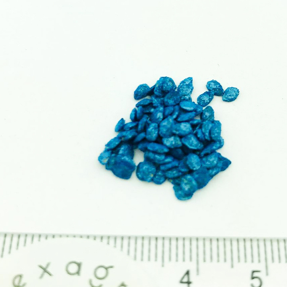 Черри Блосэм F1 семена томата детерминантного (Sakata / ALEXAGRO) семена – фото 6