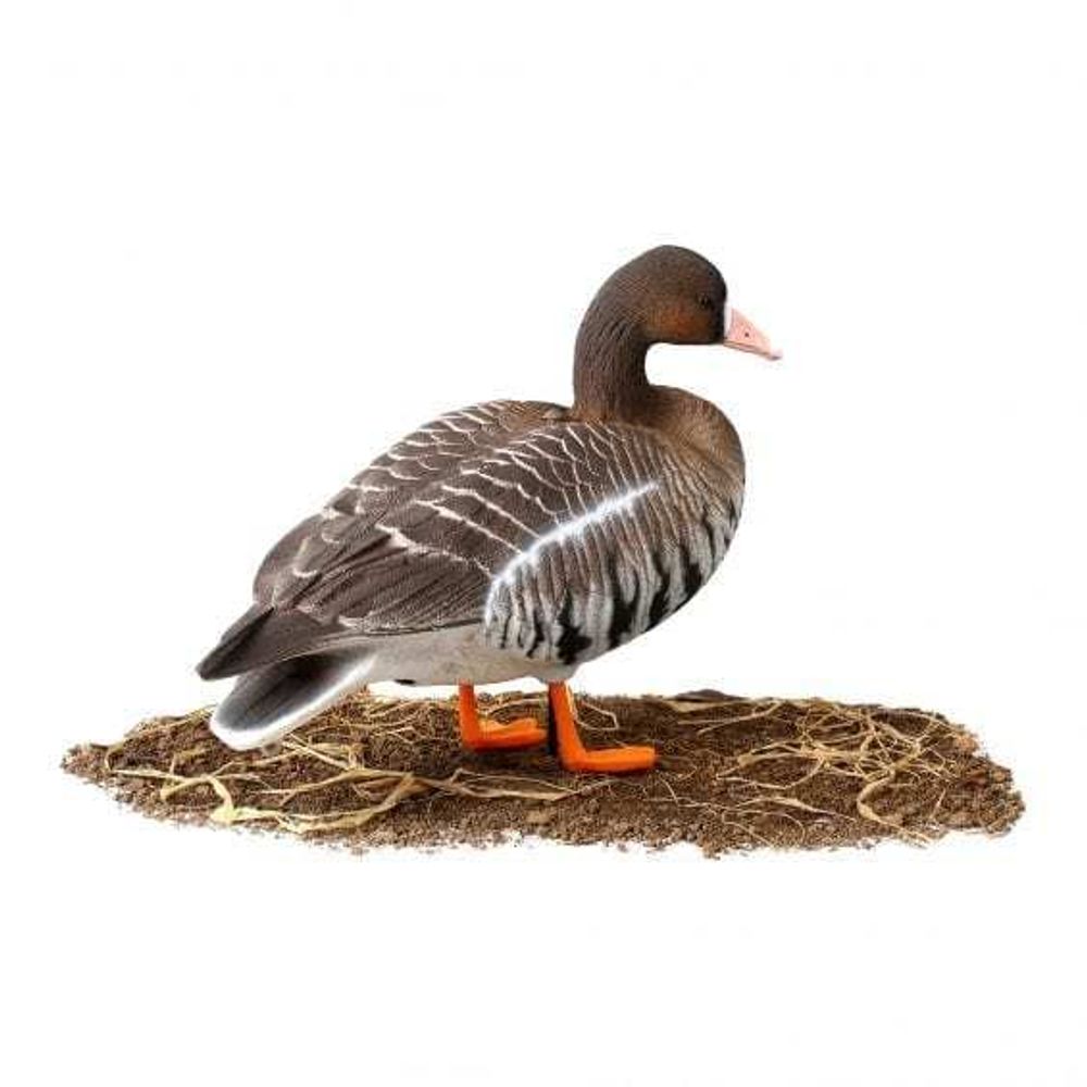 Комплект чучел Белолобый гусь (6шт) "Softplast"A" ALFA321B