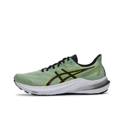 Мужские кроссовки ASICS GT-2000 12 'Dark Jade Black' 1011B691-301