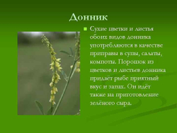 Донник Травяной сбор 60г