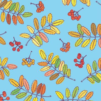 листопад - рябина на бирюзовом