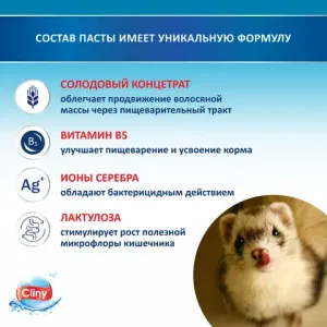 Паста для вывода шерсти Cliny со вкусом лосося, 30мл