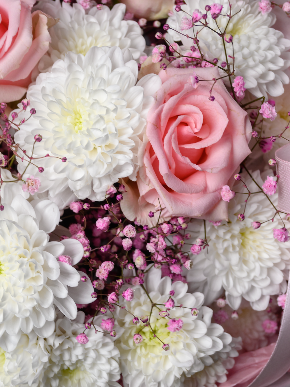 Нежные мечты *