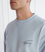 Худи Tommy Jeans - голубой(DM0DM17989)