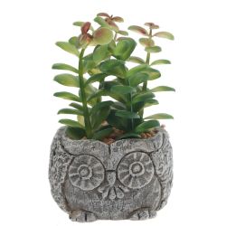 GAEM Цветочная композиция "Суккулент", L11 W11 H12 см