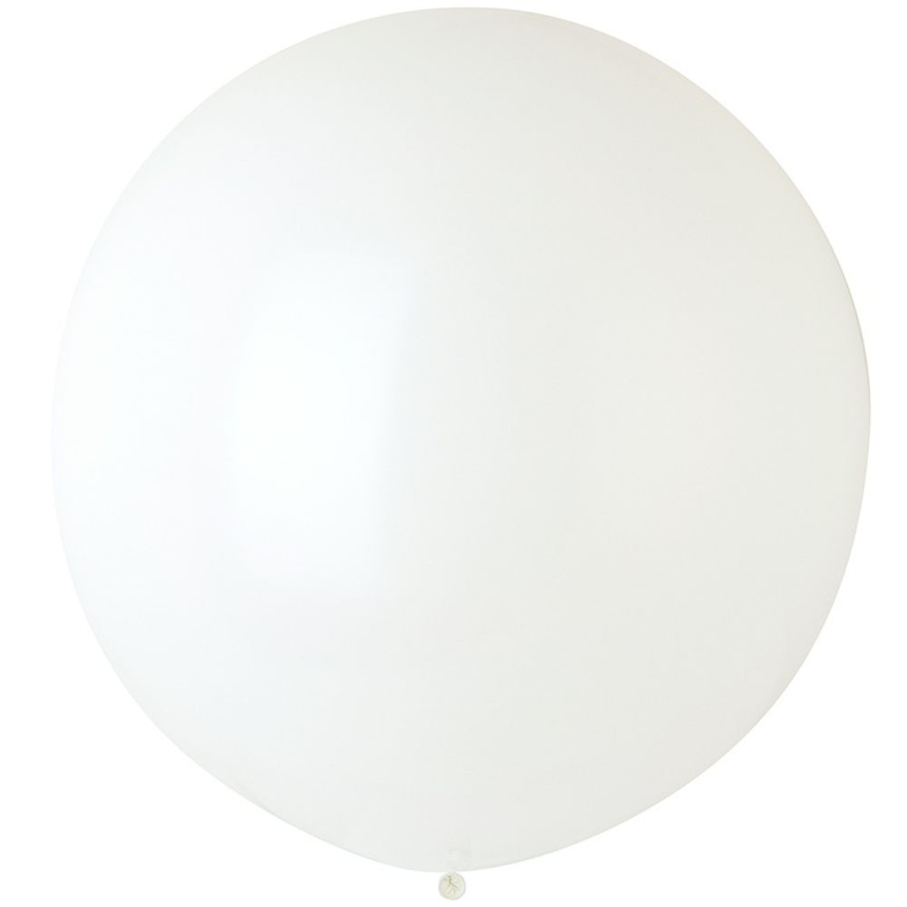 EV 24&quot;/100 Стандарт White 1 шт