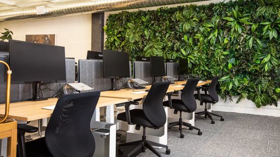 Правила зелёного офиса