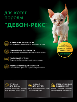 Корм сухой для котят породы Девон-рекс, с ягненком, 400 гр, QUATTRO