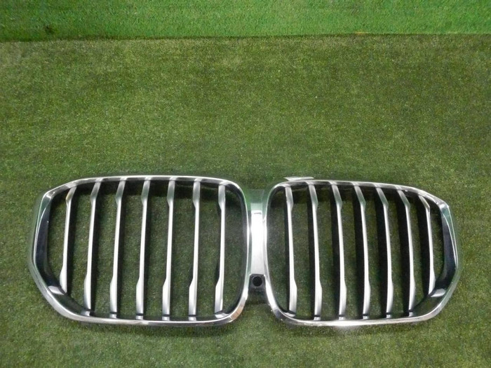 Решетка радиатора BMW X5 G05 (2018-2023)