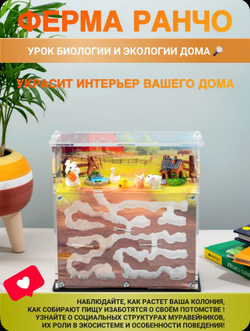Муравьиная ферма с муравьями в подарок "Ранчо"