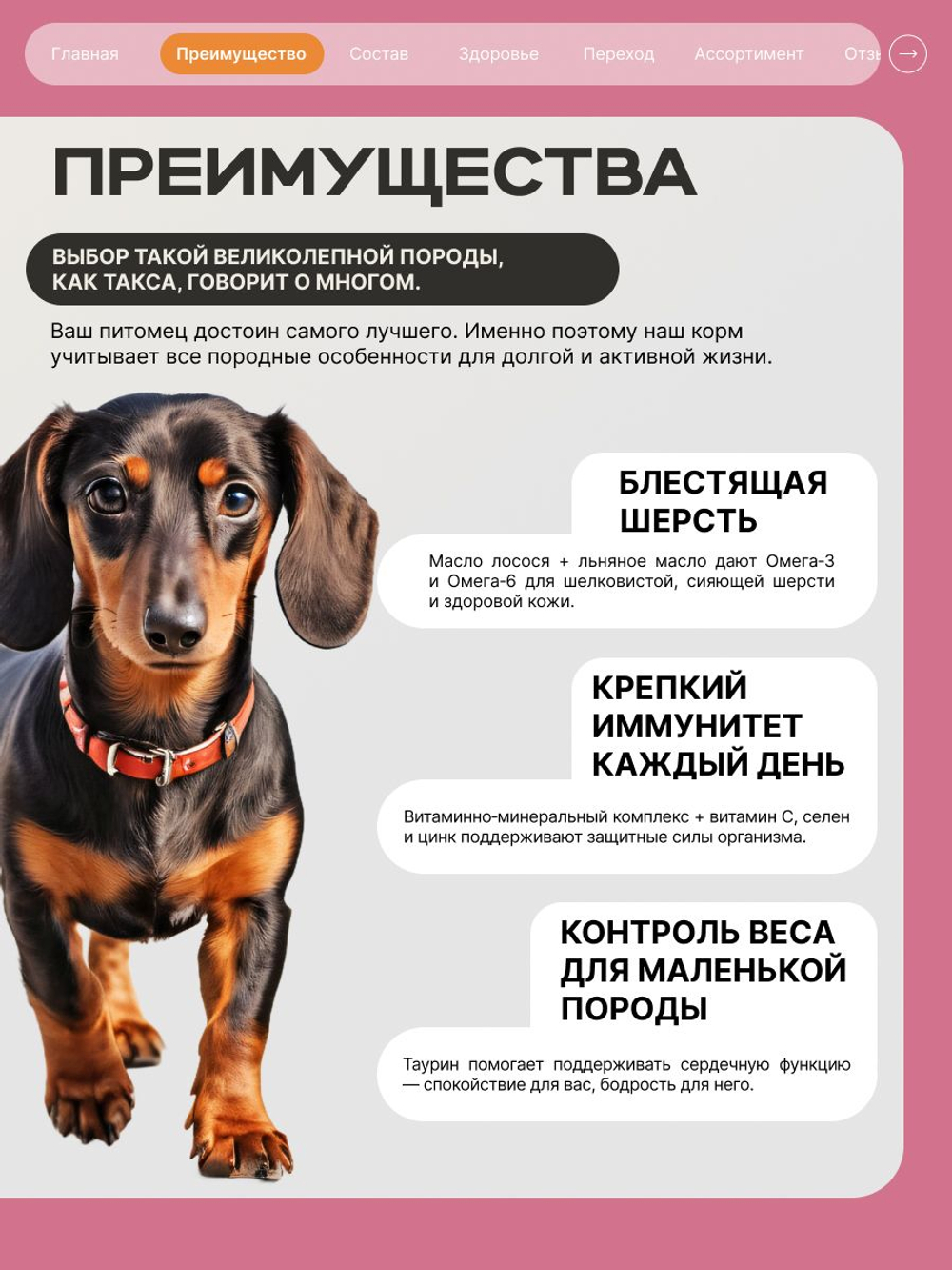 Корм сухой для взрослых собак породы Такса (стандартная), с индейкой, 12 кг, QUATTRO