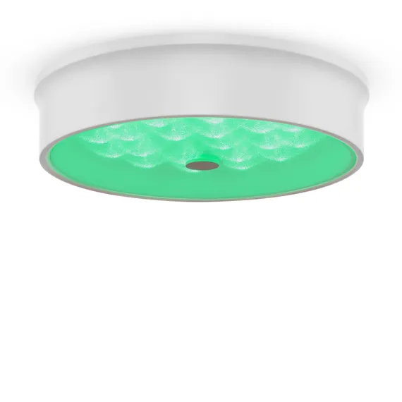 Потолочный светильник FR10011CL-L24W Элементы 24 Вт LED Freya fr10011cl-l24w