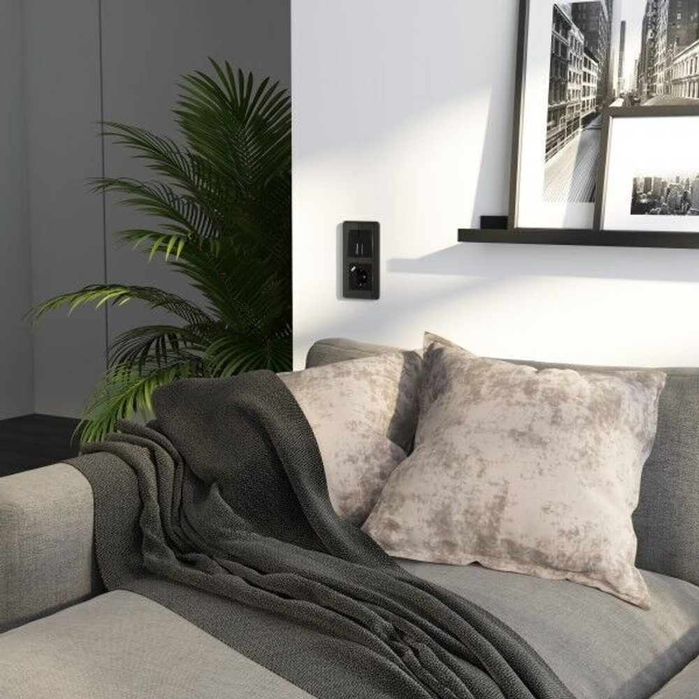 Рамка на 2 поста Elite (черный, стекло)