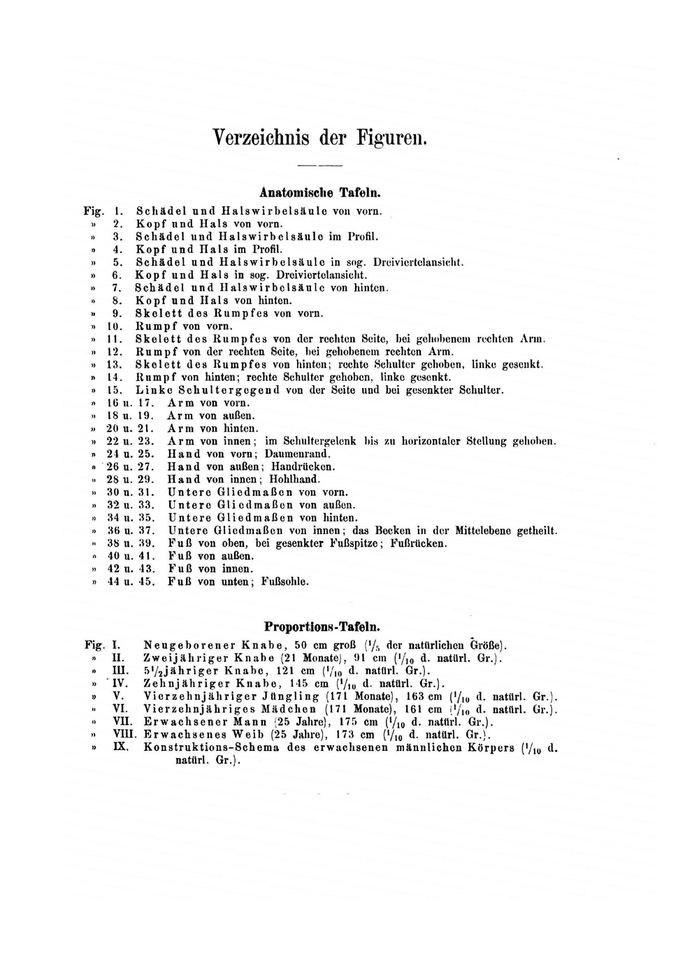Anatomie Für Künstler | A. Froriep