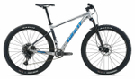 Горный велосипед Giant Fathom 29 2 (2020)