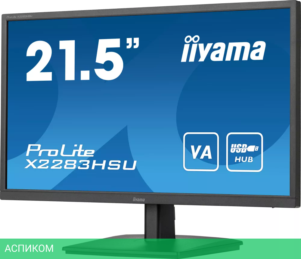 Монитор Iiyama ProLite X2283HSU-B1