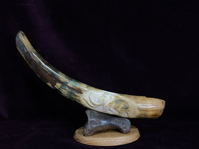 Бивень мамонтенка «Сибирячок» 3