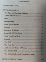 Pink Floyd: Архитекторы звука / Сергей Климовицкий