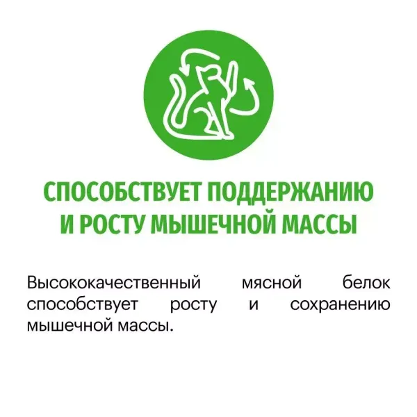Уценка! Повр.упак. / Сухой корм Кarmy Sterilized для стерилизованных кошек и кастрированных котов, с курицей