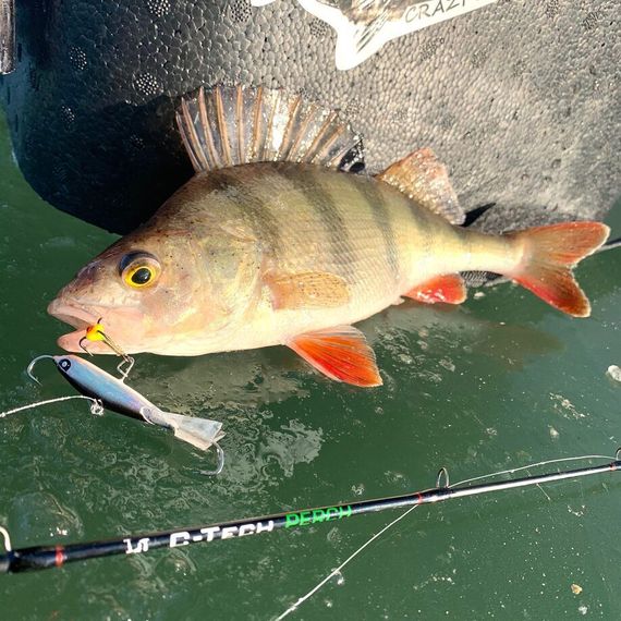 Балансир Lucky John NORDIC 4 с тр. 40мм/13H блистер