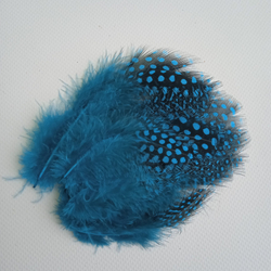 Перья цесарки голубые 2 сорт 15 шт.