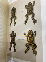 "Жизнь природы: Картина физических и химических явлений". В. Мейер. 1905г.