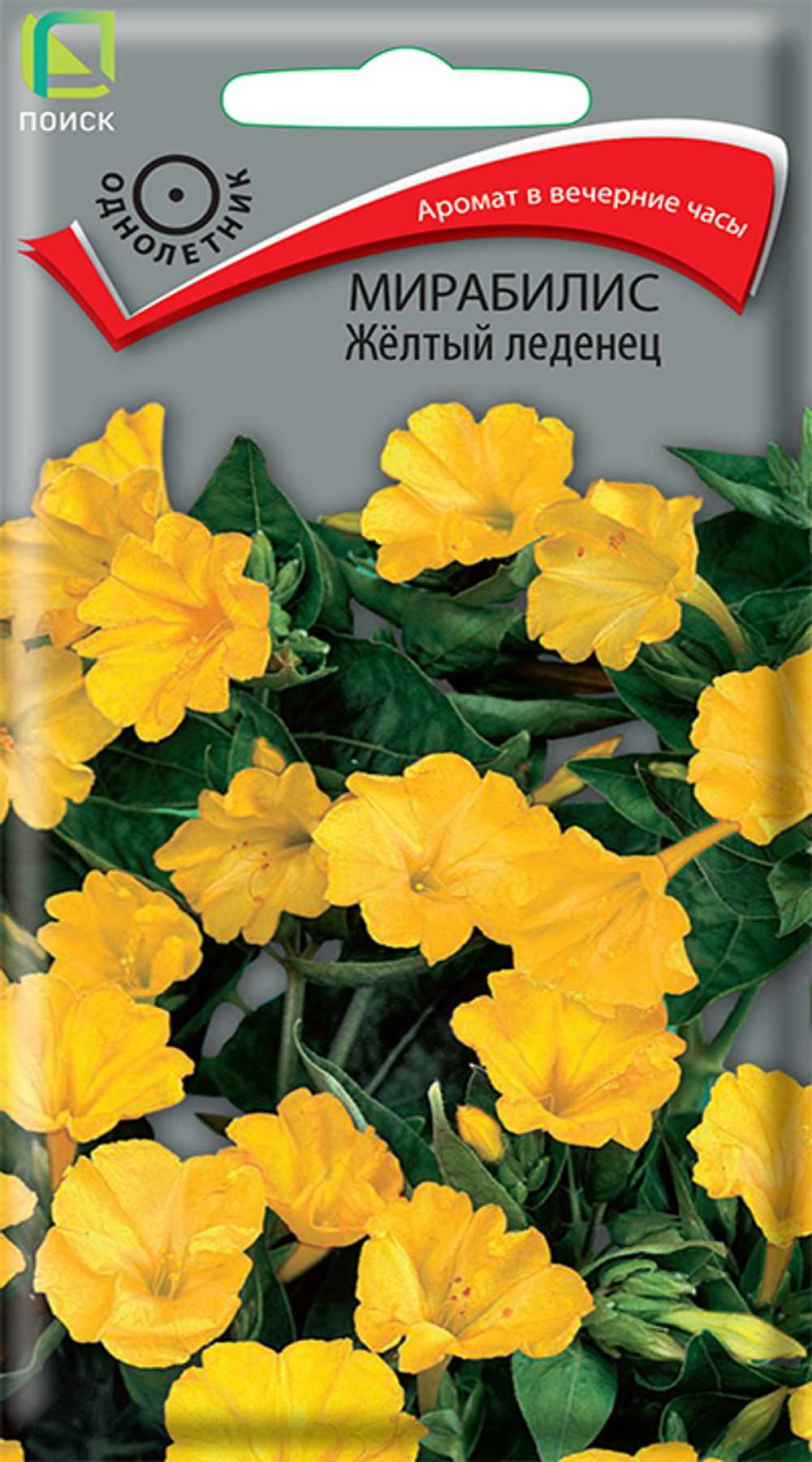 Мирабилис Жёлтый леденец