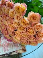 Букет Оранжевый моно 25 шт.