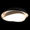 Потолочный светильник Loft IT Petale 10256 Black