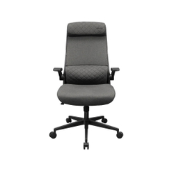 Компьютерное кресло Cougar Stryder Gray