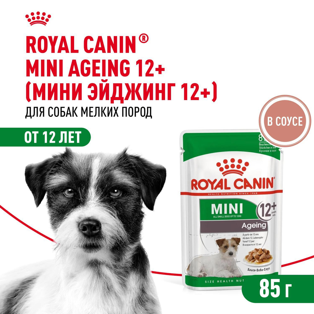 Royal Canin Mini Ageing 12+ Корм консервированный для стареющих собак мелких размеров 85г
