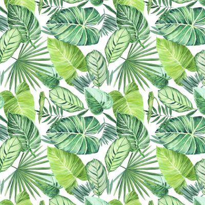 акварельные тропические листья на белом_01
