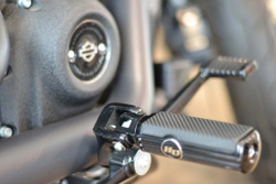 Low Rider S 114 (FXLRS), Softail Harley-Davidson 2020 Barracuda Silver