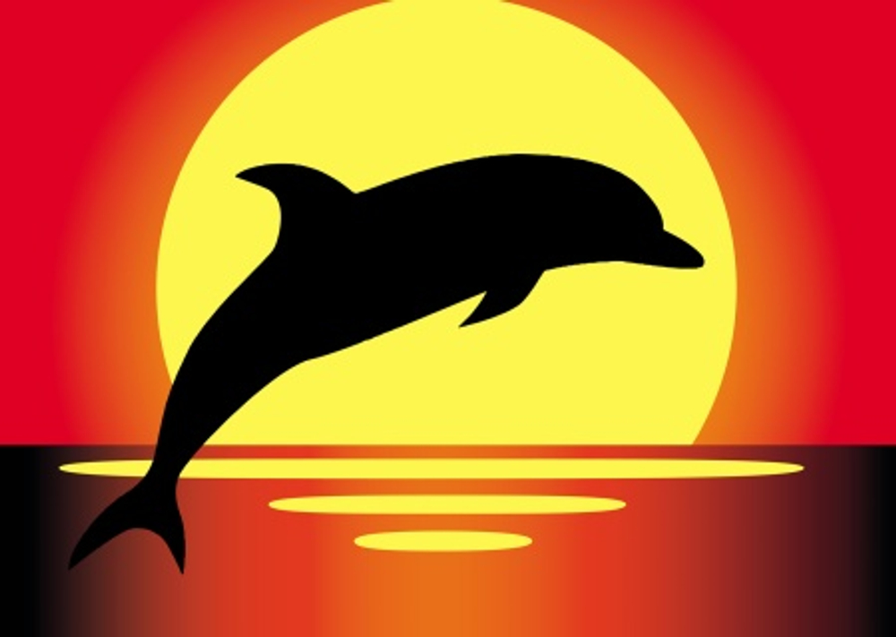 dph6nkned2g4mj3zu717t6u617bidhyy