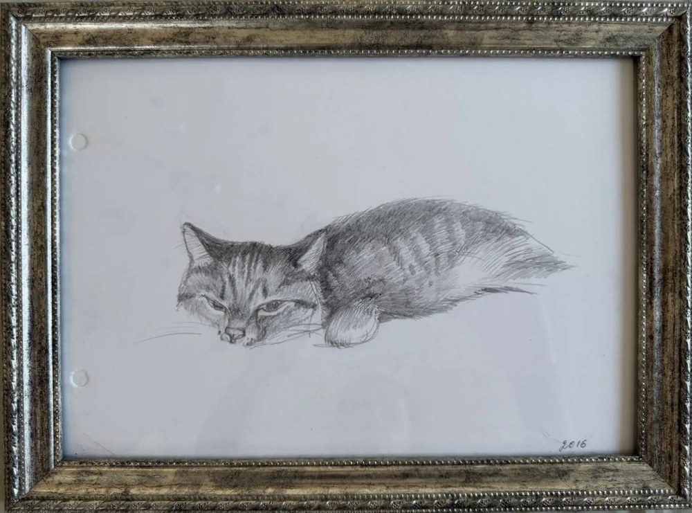 Котейка