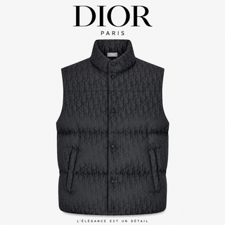 Мужские жилеты Dior