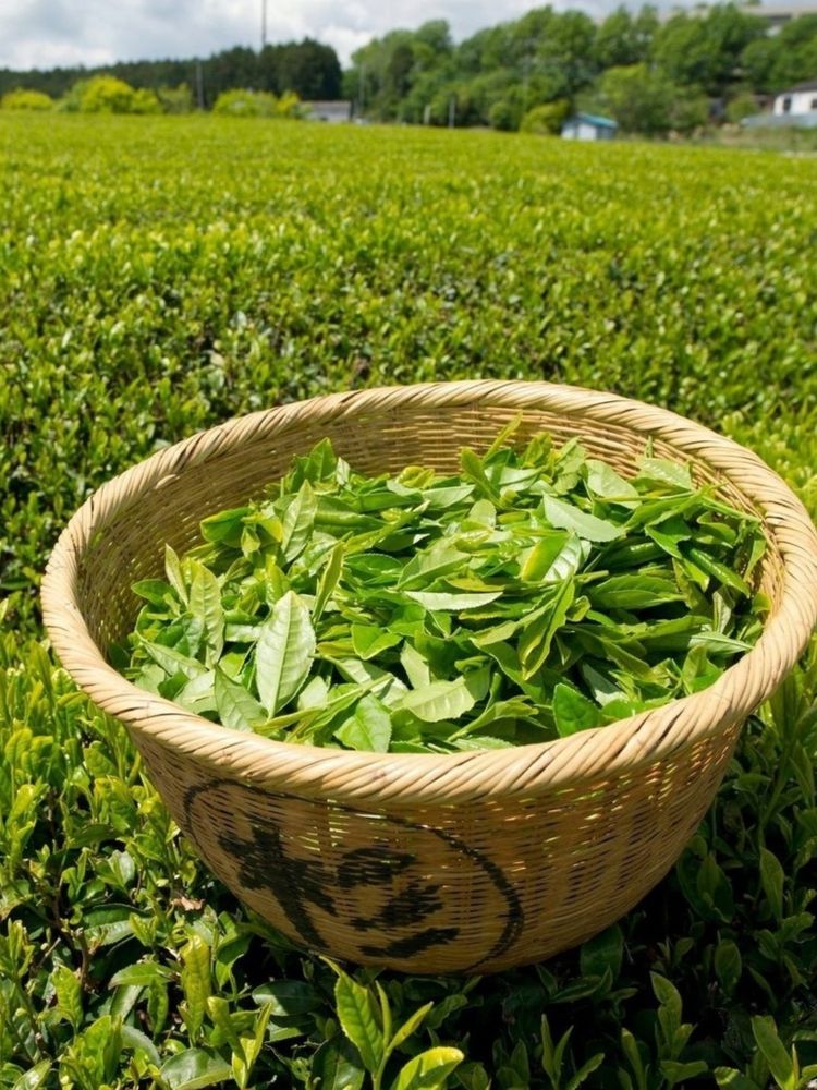 Чай черный Ассам Bharat Bazaar Pride of Assam 100 г