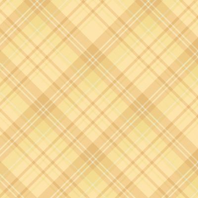 клетчатый фон в жёлтых цветах 2