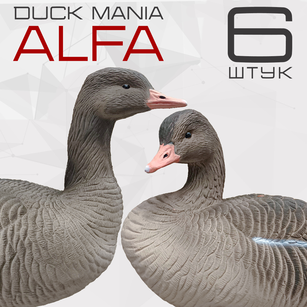 Серый гусь Duck Mania "ALFA" 6 штук