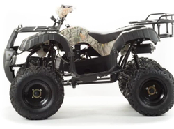 Квадроцикл MOTOLAND 200 All Road (2021 Г.)