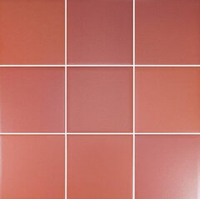 Wow Six Coral 11.7x11.7