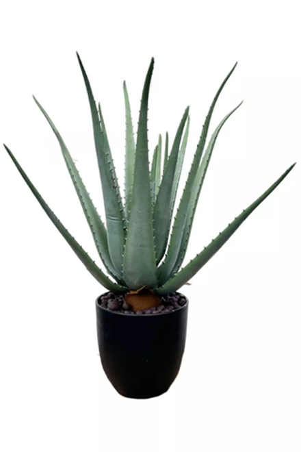 Алоэ в кашпо 65см