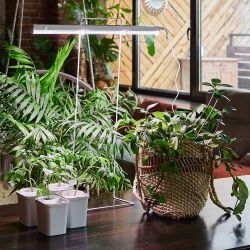 ULI-P10-10W-SPFR IP40 WHITE Светильник для растений светодиодный линейный. 560мм. выкл. на корпусе. Спектр для фотосинтеза. TM Uniel