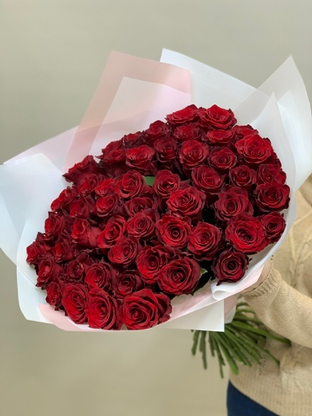 Букет 50 красных роз Эквадор 50см в пленке