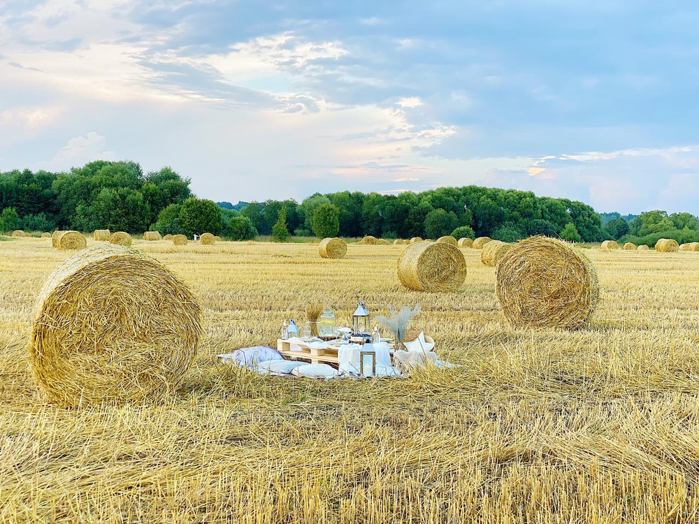 Golden Field