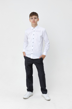 Рубашка длинный рукав на кнопках для мальчика FORMASCHOOL (TNJ) 1099