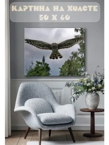Картина на стену 40 X 50 Сова