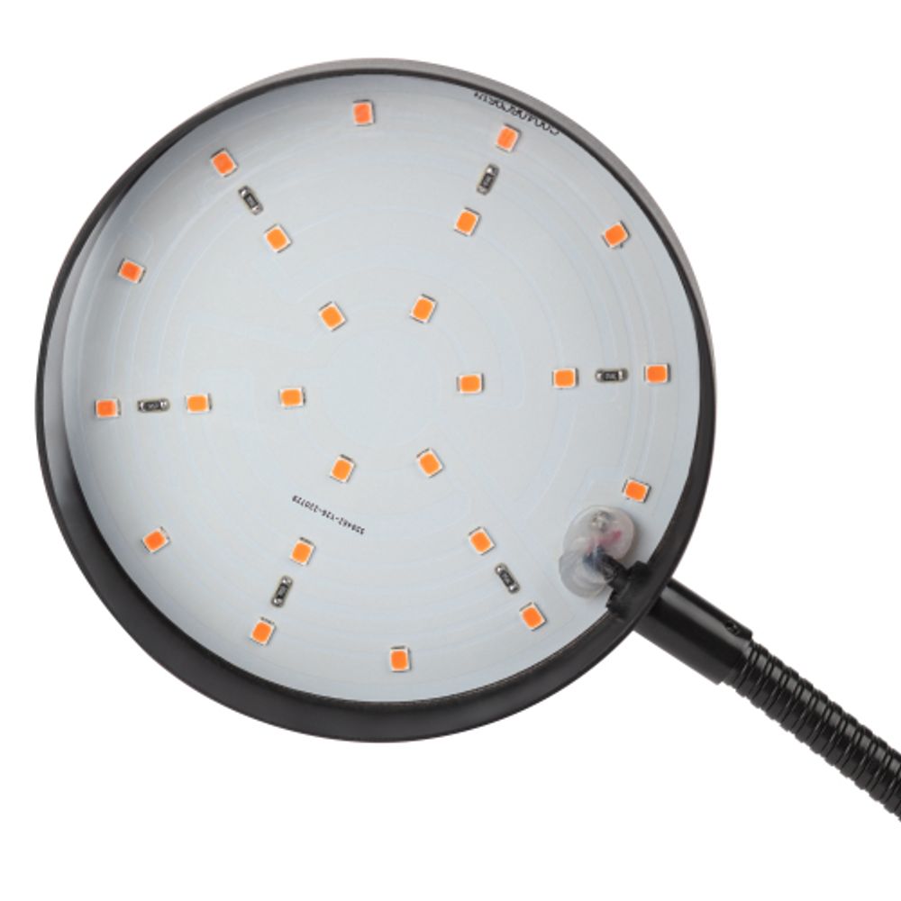 Светильник для растений на прищепке ЭРА FITO-20W-АLED-R красно-синего спектра 20 Вт черный