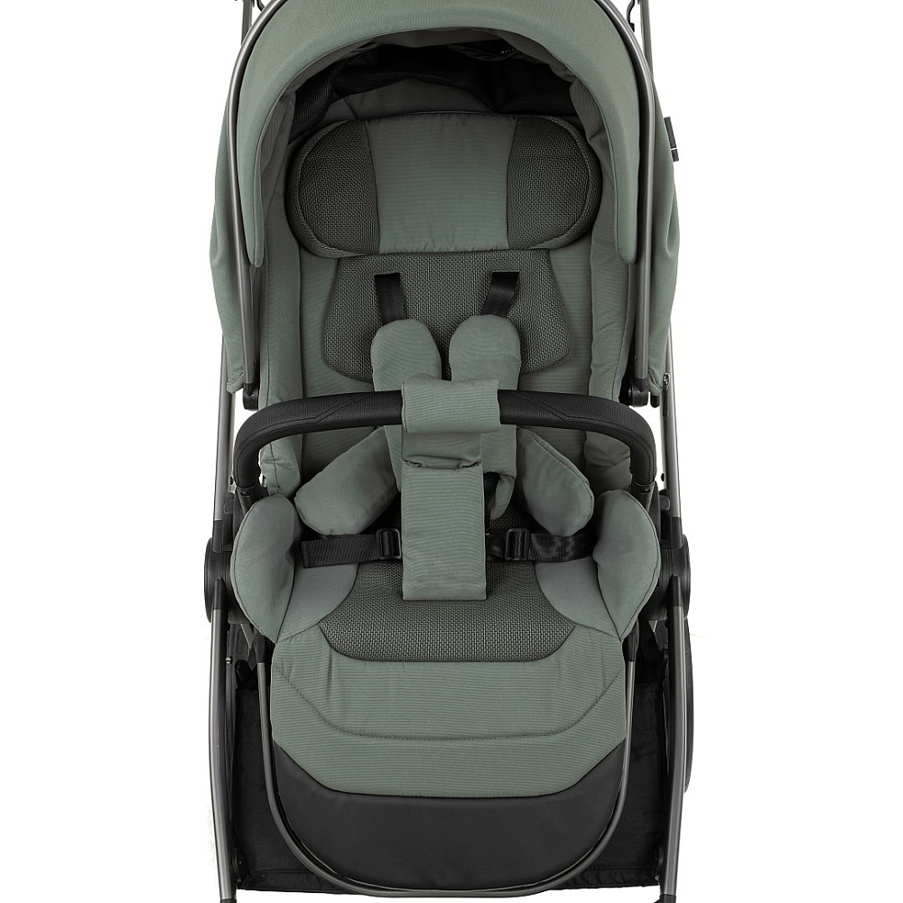 Детская коляска Pituso Teffy 2 в 1 Sage Green/Graphite